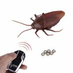 Таракан на радиоуправлении — изображение 2