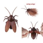 Таракан на радиоуправлении — изображение 3