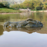 Лодка Крокодил — изображение 4