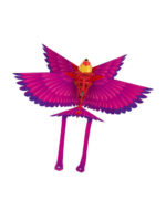 Go Go Bird / Птица на радиоуправлении — изображение 10