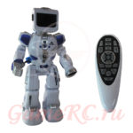 Робот Эпсилон на радиоуправлении